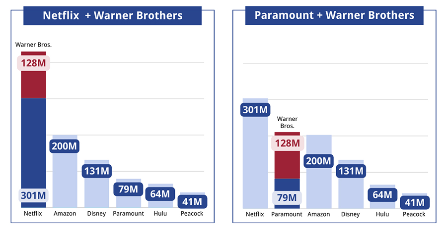 Netflix Warner IB Bar Graph